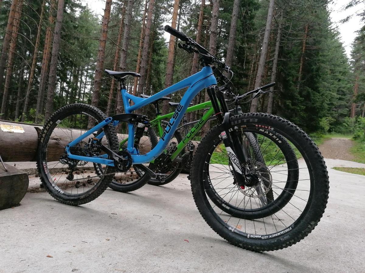 בנסקו White Lavina - Ski, Bike, Hike מראה חיצוני תמונה