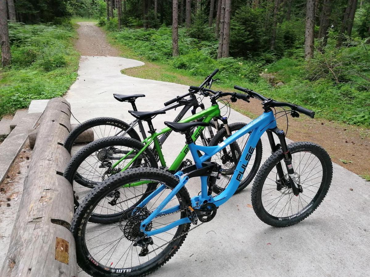 בנסקו White Lavina - Ski, Bike, Hike מראה חיצוני תמונה